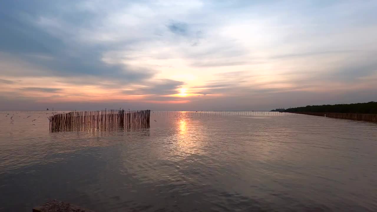 海鸥在夕阳的映衬下美丽地飞翔。泰国邦浦美丽的自然景观，4K视频素材