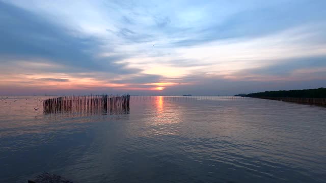 海鸥在夕阳的映衬下美丽地飞翔。泰国邦浦美丽的自然景观，4K视频素材