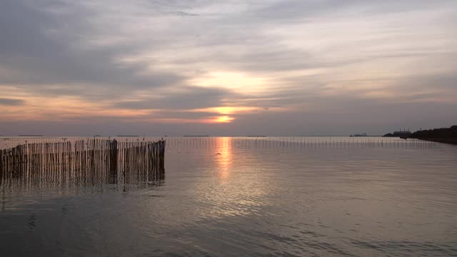 海鸥在夕阳的映衬下美丽地飞翔。泰国邦浦美丽的自然景观，4K视频素材