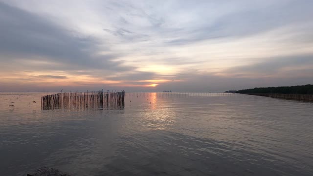 海鸥在夕阳的映衬下美丽地飞翔。泰国邦浦美丽的自然景观，4K视频素材