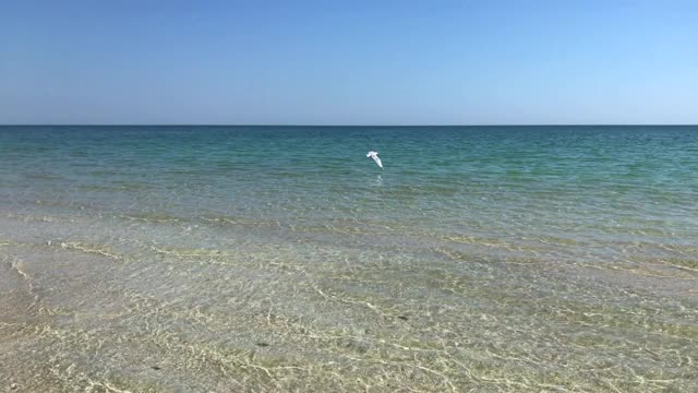 有泡沫的海滩，有海浪和沙子的大海视频素材