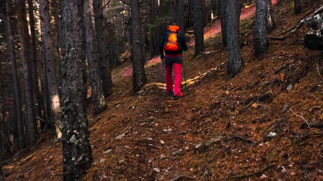 在西班牙比利牛斯山脉的奥德萨国家公园里，徒步旅行者在自然小径上的秋天的颜色。奥德萨国家公园otoño的色彩。西班牙。视频素材