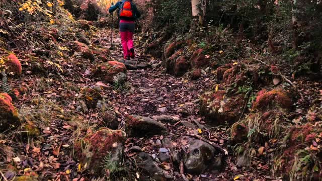 在西班牙比利牛斯山脉的奥德萨国家公园里，徒步旅行者在自然小径上的秋天的颜色。奥德萨国家公园otoño的色彩。西班牙。视频素材