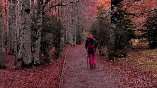 在西班牙比利牛斯山脉的奥德萨国家公园里，徒步旅行者在自然小径上的秋天的颜色。颜色otoño在国家公园的奥德萨和珀尔迪多。西班牙。视频素材