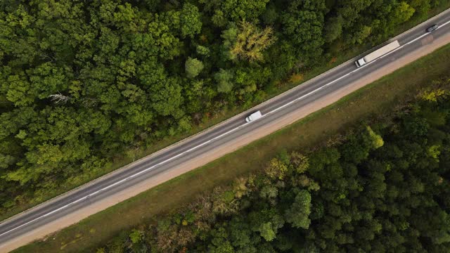 路在秋天的森林里。在森林中追踪汽车行驶的路径。道路和森林的俯视图或鸟瞰视图。4 k分辨率视频视频素材