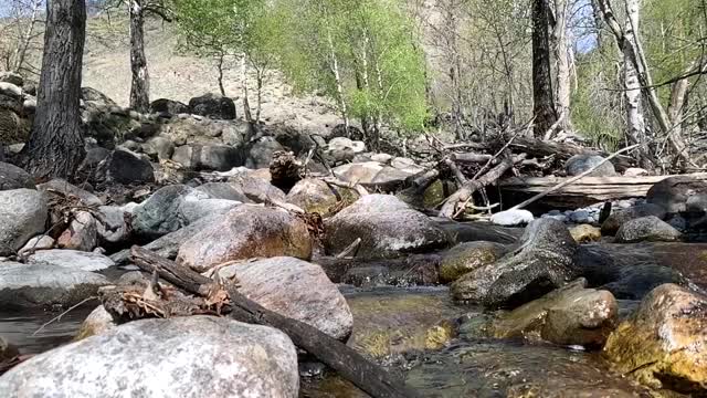 阿尔泰河缓缓流淌。视频下载