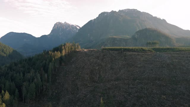 鸟瞰图的环境破坏与砍伐山地森林视频素材