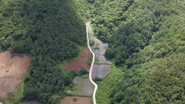 山路和耕地/江原道正城郡，韩国视频素材