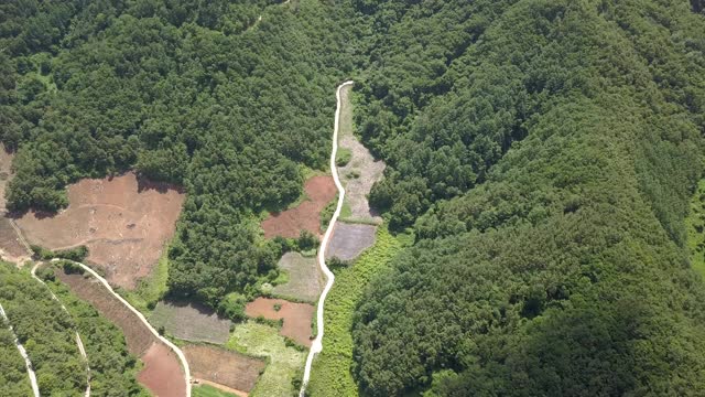 山路和耕地/江原道正城郡，韩国视频素材