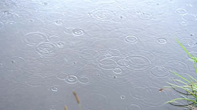 我花园里的雨视频素材