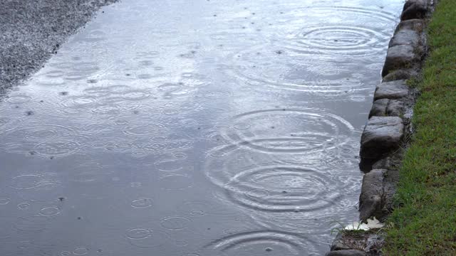 我花园里的雨视频素材