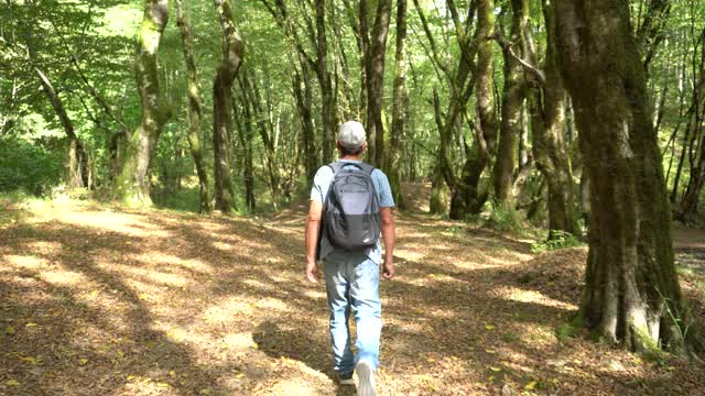 老年人在山林中徒步旅行视频素材