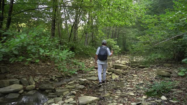 老年人在山林中徒步旅行视频素材