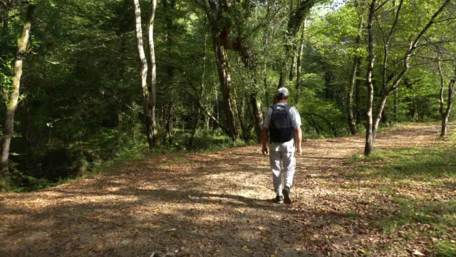 老年人在山林中徒步旅行视频素材