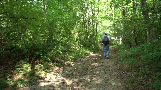 老年人在山林中徒步旅行视频素材