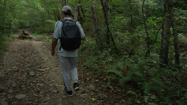 老年人在山林中徒步旅行视频素材