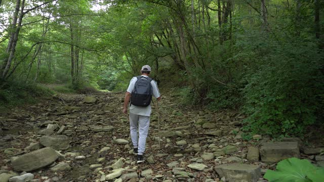 老年人在山林中徒步旅行视频素材