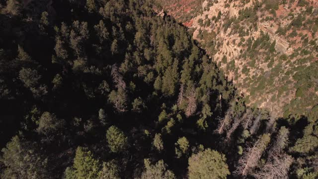 大峡谷和科罗拉多河视频素材