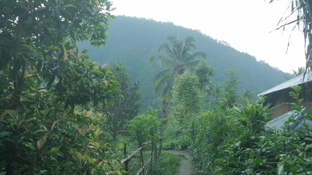 热带花园前青山。慢动作视频素材