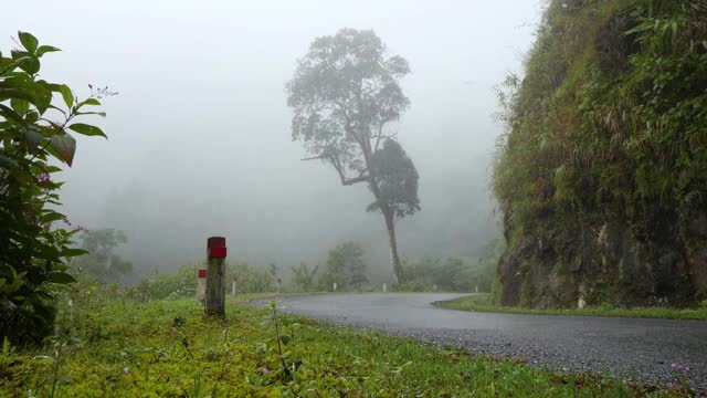 一对骑着摩托车的夫妇在薄雾缭绕的山路上旅行。视频素材