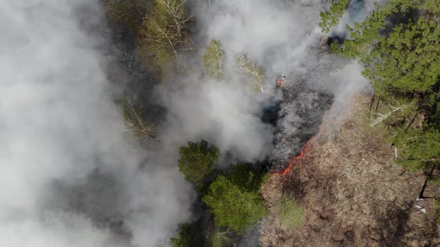 冒烟的野火史诗鸟瞰图。浓烟滚滚，火势蔓延。亚马逊和西伯利亚的野火。干草燃烧。气候变化，生态，地球视频素材