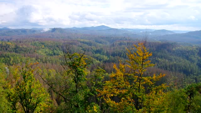 易北砂岩山，co called view Koenigsplatz, near Kirnitzschtal视频素材