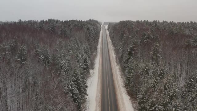 汽车在穿过针叶林的冬季小路上行驶。在针叶林的冬季道路景观。穿过松树的高速公路。视频素材