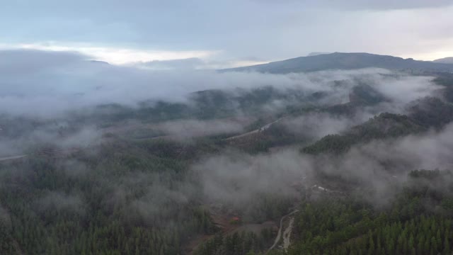 雾蒙蒙的土地视频素材