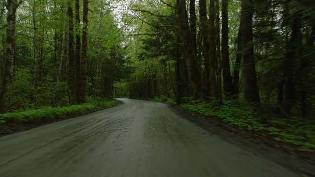 在第一人称视角下沿着林道行驶视频下载