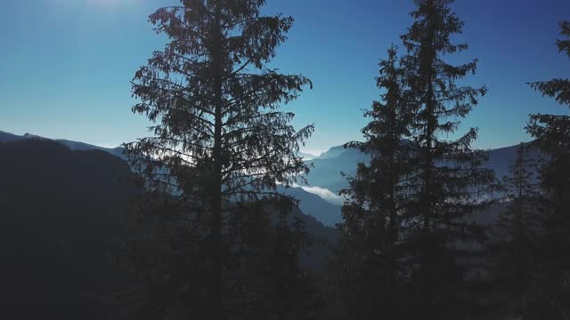 景观与黑暗的冷杉树和低云在地平线上的高山山谷视频素材