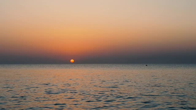 一群鸟儿飞过夕阳下的海面。美丽的日落和海鸥。视频素材