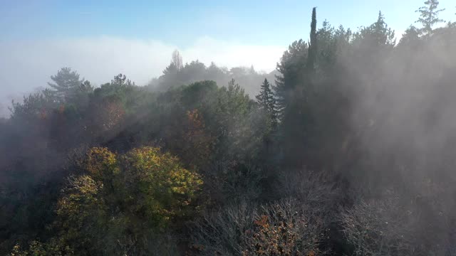 意大利托斯卡纳秋基安蒂地区森林视频素材