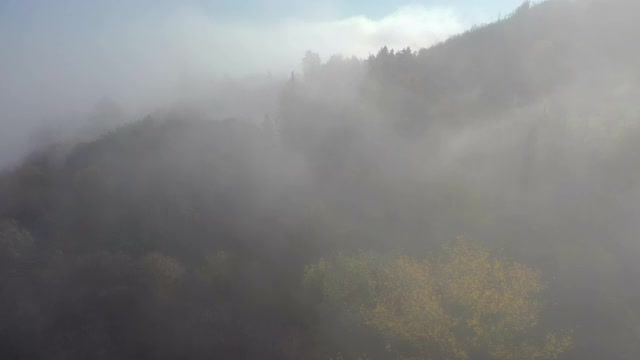 意大利托斯卡纳秋基安蒂地区森林视频素材