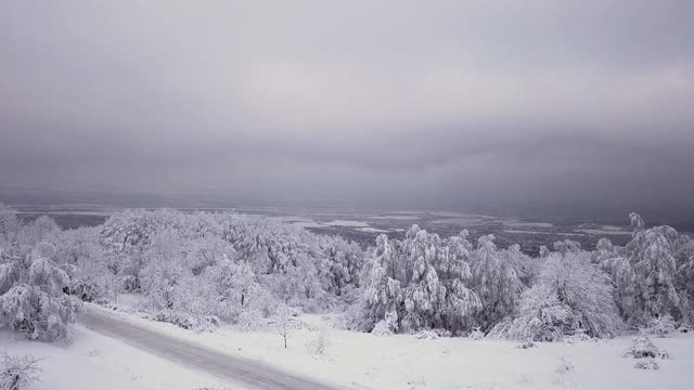 冬天被雪覆盖的森林视频素材