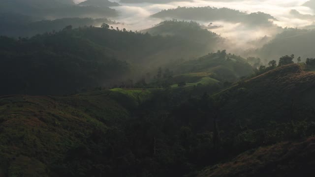 鸟瞰图朦胧的山区景观在早上在达克省泰国视频素材