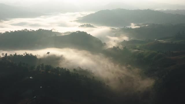 鸟瞰图朦胧的山区景观在早上在达克省泰国视频素材