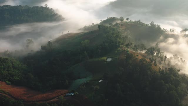 鸟瞰图朦胧的山区景观在早上在达克省泰国视频素材