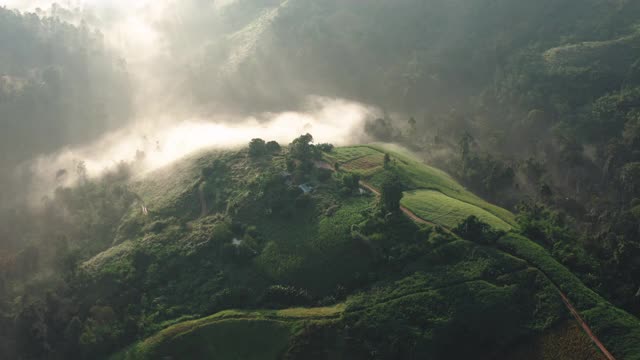 鸟瞰图朦胧的山区景观在早上在达克省泰国视频素材