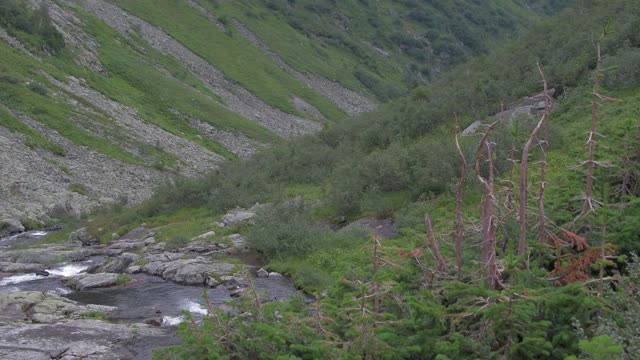 岩溪在森林山谷。山林间的山河视频素材