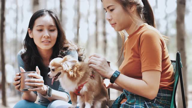 十几岁的女孩们在营地里玩得很开心视频素材