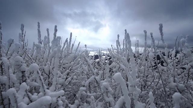 雪在低的植物在山上与风和景色的村庄在山谷视频素材