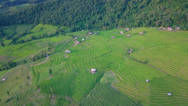 Pa Pong Pieng的梯田视频素材