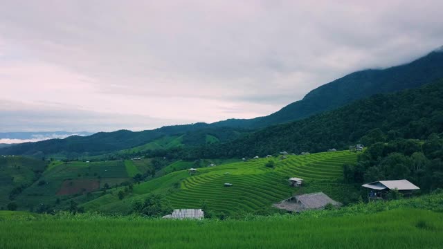 Pa Pong Pieng的梯田视频素材