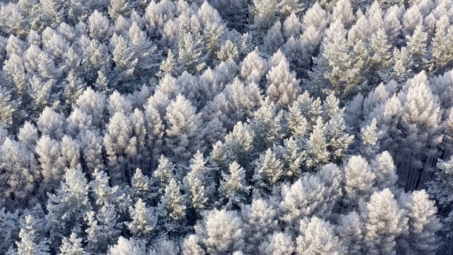 令人惊叹的冬季早晨。雪峰景观和壮丽的日出，鸟瞰图。视频素材