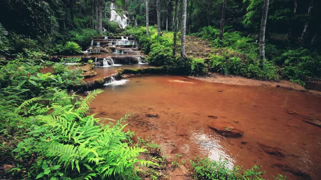 SLO MO瀑布在雨林无缝循环视频素材