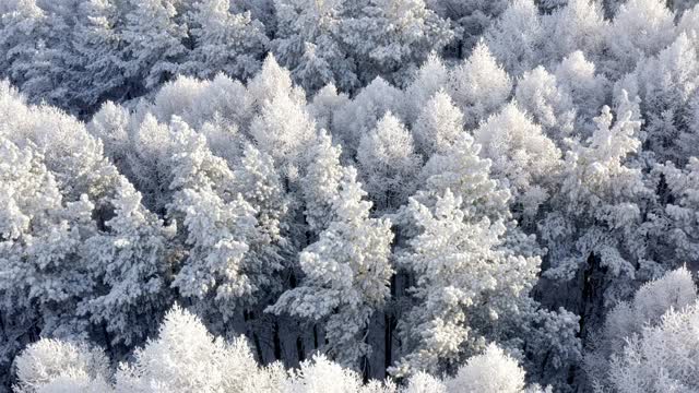 白雪皑皑的景色和壮丽的日落，鸟瞰图。神奇的冬天的晚上。视频素材