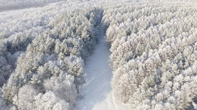 一条白雪皑皑的道路，树木覆盖着雪帽，一片冬日的森林照亮了白天的太阳，蓝天上有白云，是冬日的风景视频素材