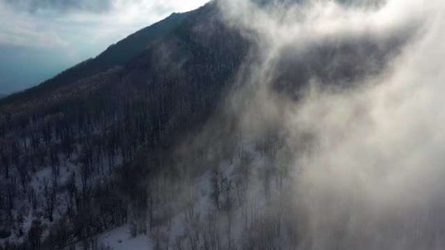 云雾笼罩山顶森林4K航拍视频视频素材