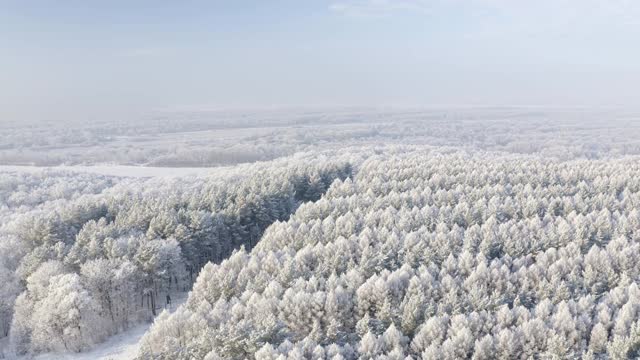 冰雪覆盖的道路中央的森林被白雪覆盖。冬天的森林自然雪覆盖了冬天的树木视频素材