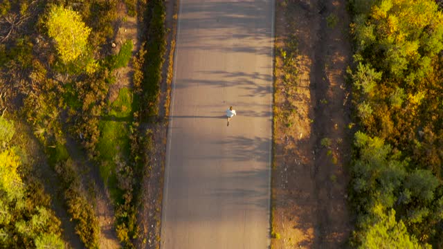 在柏油路上慢跑的人鸟瞰图视频素材